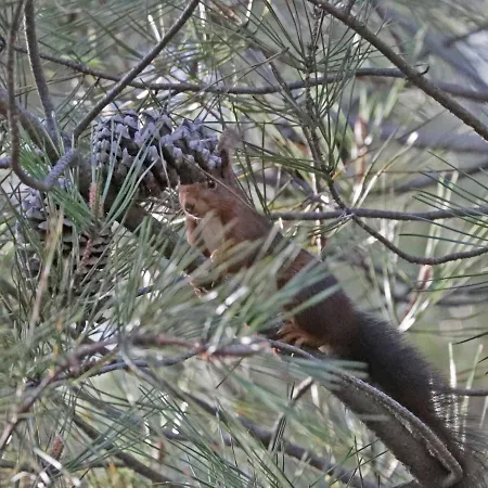 Сasa de vacaciones Quinta Do Torgal - Local