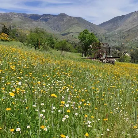 Quinta Do Torgal - Local *