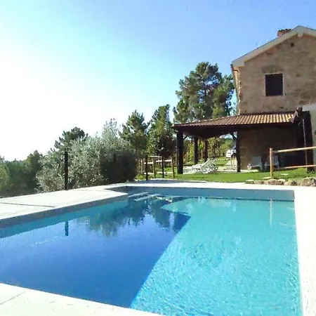 Quinta Do Torgal - Local