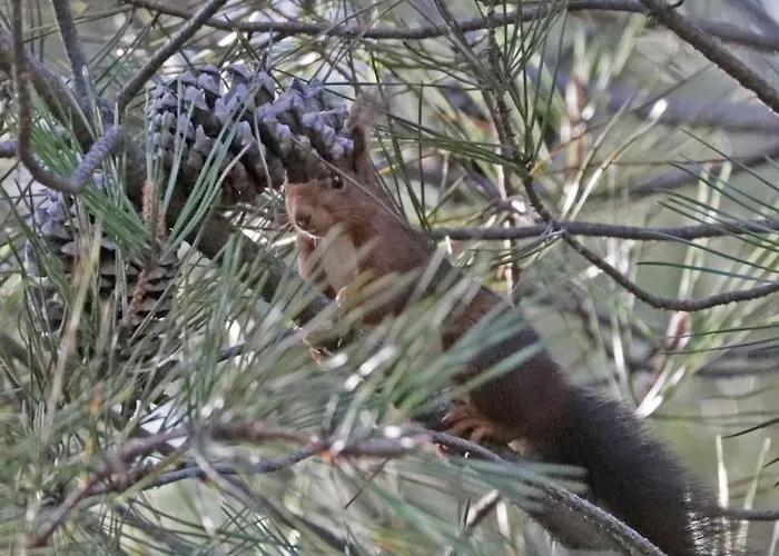 Hébergement de vacances Quinta Do Torgal - Local
