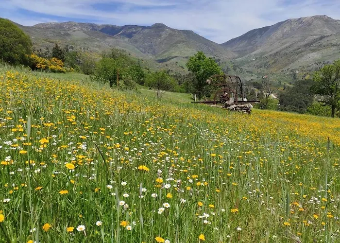 Quinta Do Torgal - Local *