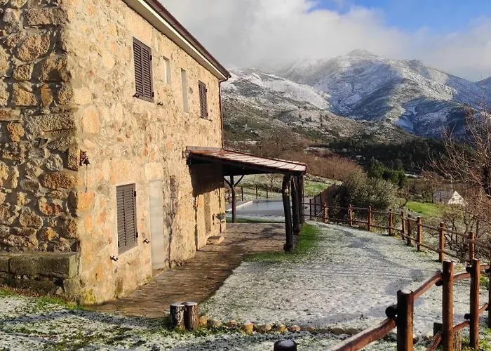 Quinta Do Torgal - Local *